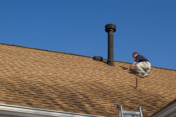 Best Asphalt Shingle Roofing  in Wink, TX